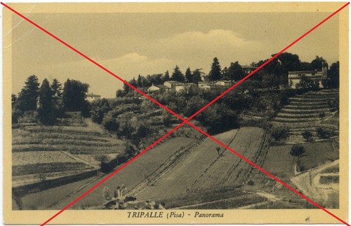 Tripalle cartolina - (pisa),