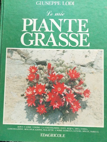 Giuseppe lodi piante - piante, grasse