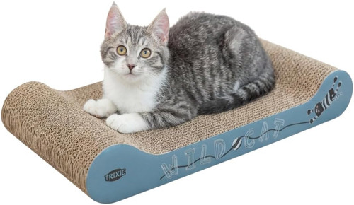 Wild cat tiragraffi per - wild,