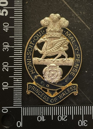 Princess wales royal - princess, of