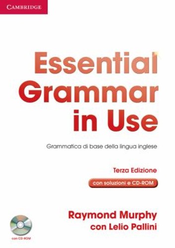 Essential grammar use - in,