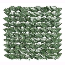 Arelle Sempreverdi Lauro