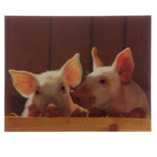 Fografia immagine 3D con