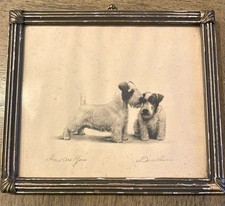 Stampa Fox Terrier con cornice