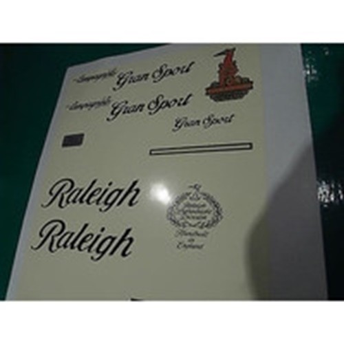 raleigh sport