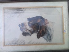 CANE DA CACCIA VENATORIA SPINONE ITALIANO GIAMPAOLO GANZER OLIO SU TELA