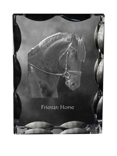 Frisone cavallo cristallo - frisone,