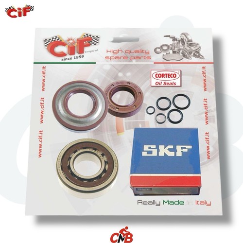 Kit revisione albero - albero, motore