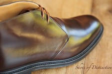 Church's Tasmania Shell