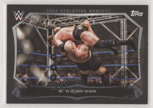 2015 topps wwe - 2015,