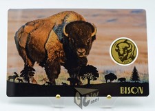 Bisonte - America's Big 5 -