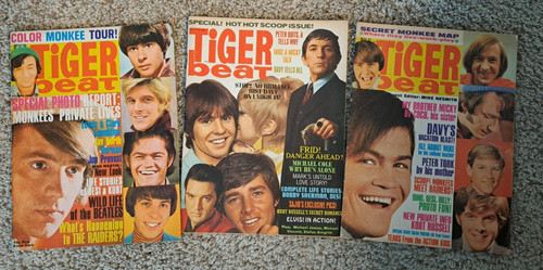 Tiger beat may - tiger,