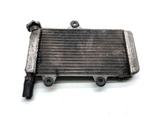 RADIATORE RADIATOR ACQUA