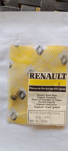 Vite boccola renault - vite,