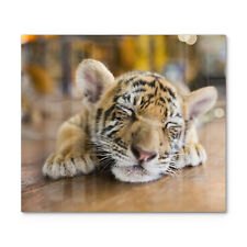 DEQORI Piano Cottura Vetro 'Bambino Tigre Dormiente' Piano Cottura Cucina