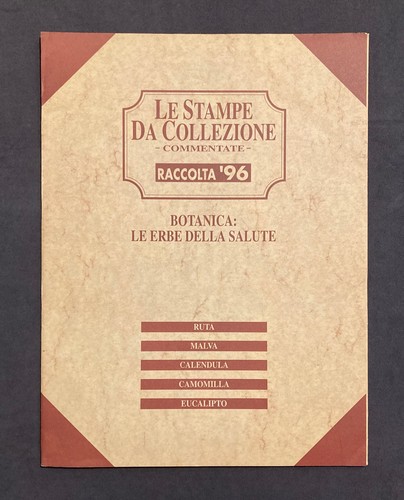 collezione ruta