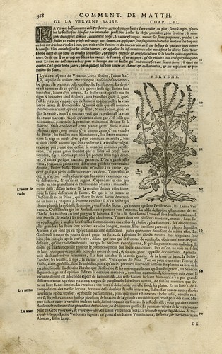 Stampa