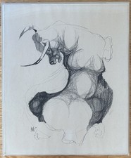 NAG ARNOLDI disegno toro