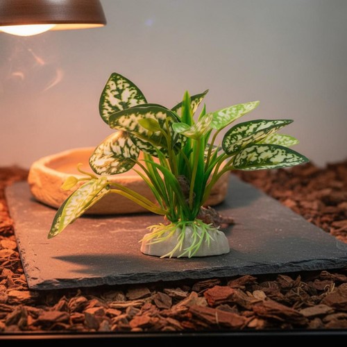Ornamento terrario - da,