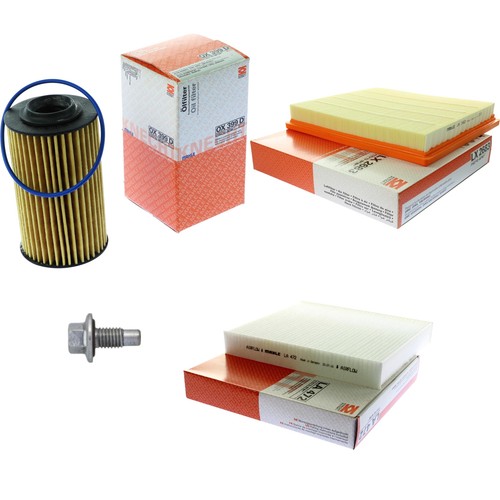 Pacchetto ispezione mahle - mahle, per