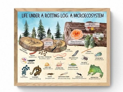 Poster life under rotten - under, a