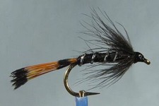 10 x Mouche de peche Noyée Pennel Noire H10/12/14 fliegen fly black