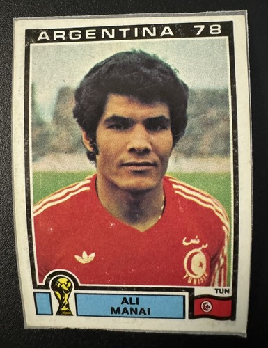 Figurina recuperata panini - figurina,