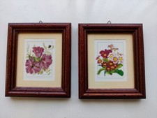 Coppia di quadri con fiori, primule e campanelle, cornice in legno arte povera 3