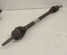 9659317980 Semialbero ant