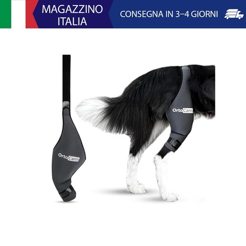 Ortocanis ginocchiera per - -,