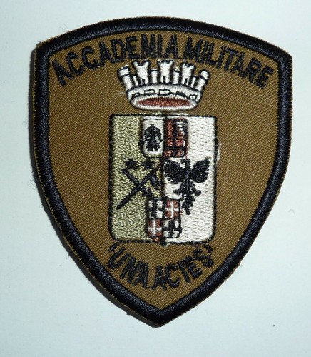 Distintivo scudetto omerale - distintivo,