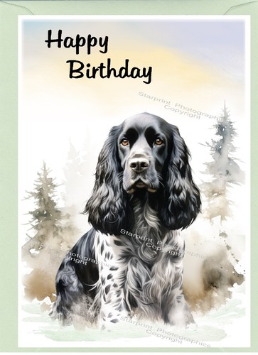 Cocker spaniel blue - roan, dog