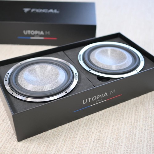 Coppia altoparlanti woofer