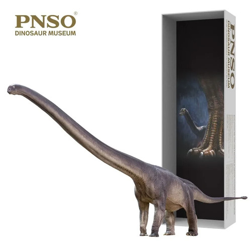 Pnso 2021 erma - pnso,