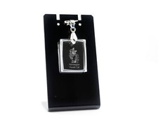 Gatto delle foreste norvegesi