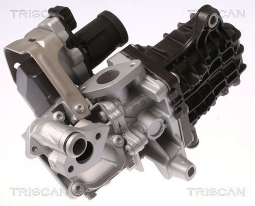 Valvola triscan agr per ford - valvola,