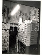 1957 MAZARA DEL VALLO Calzature Filippo MONASTERO - Magazzino con scarpe METEOR