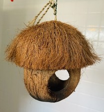 Mangiatoia per uccelli