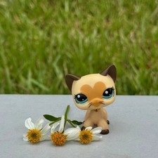 Shorthair Beard Cat LPS Toy for Girl Pet Figure Collectible Mini Gift for Kid