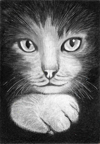 Disegno carboncino per - a,