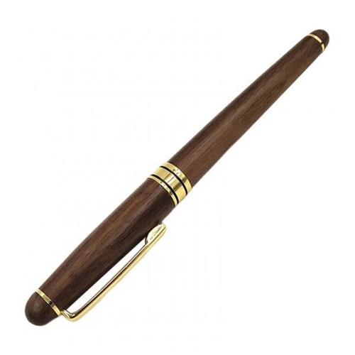 Penna stilografica legno da - in,