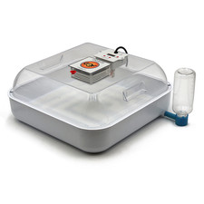 NUOVO GQF 3100 Chick-Bator