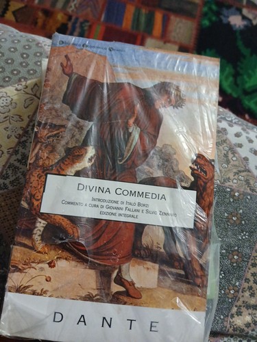 Libro dante divina - dante,