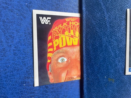 Wwf wrestling titan sports - wrestling,
