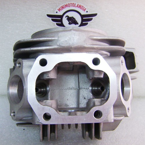 Testa per motore pit - motore,