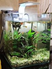 Acquario completo usato pesci e piante vere luce riscaldatore filtro accessori