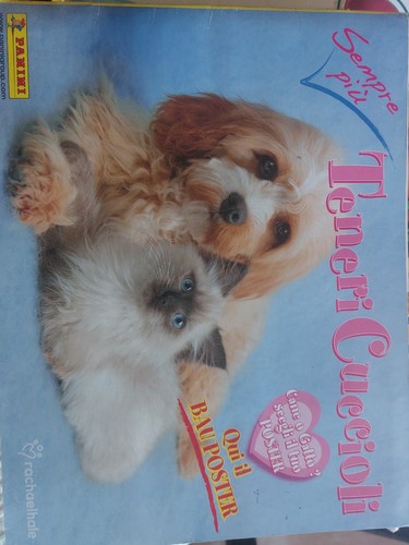 Album panini teneri - album,