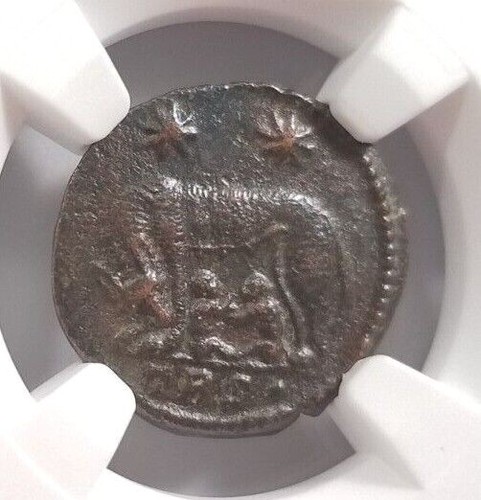 Gemelli lupo costantino ngc - costantino,