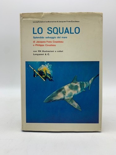 Squalo splendido selvaggio - squalo.,