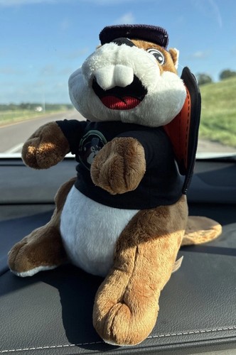 Peluche castoro buc s - peluche, buc-ee's